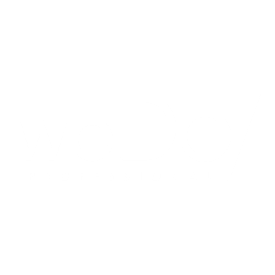 Wedo Profesional Logoa